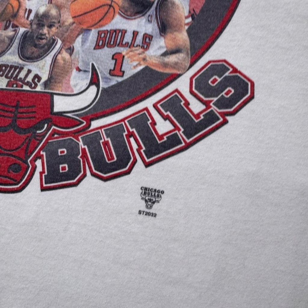 1996 Chicago Bulls Four-Time NBA Champions Tee | XL