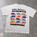 1991 San Antonio Texas Rainbow Armadillos Single Stitch Tee | Large