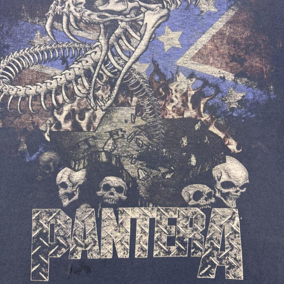 2000s Pantera Snake Skeleton Skull Graphic Tee Black Hanes Heavyweight | Large