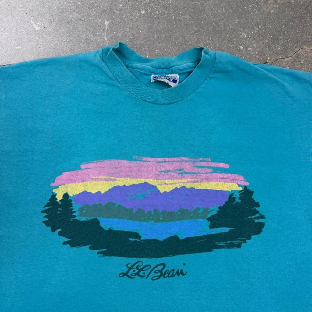 1980s L.L.Bean Scenic Mountain Lake Graphic Tee Hanes Beefy-T USA | Large