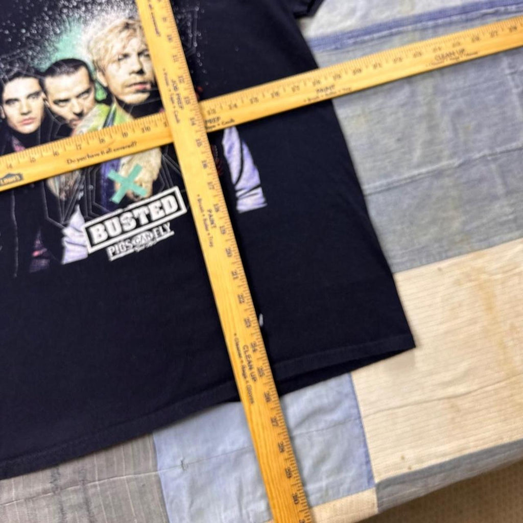 2016 Busted Pigs Can Fly UK Reunion Tour Tee | Medium