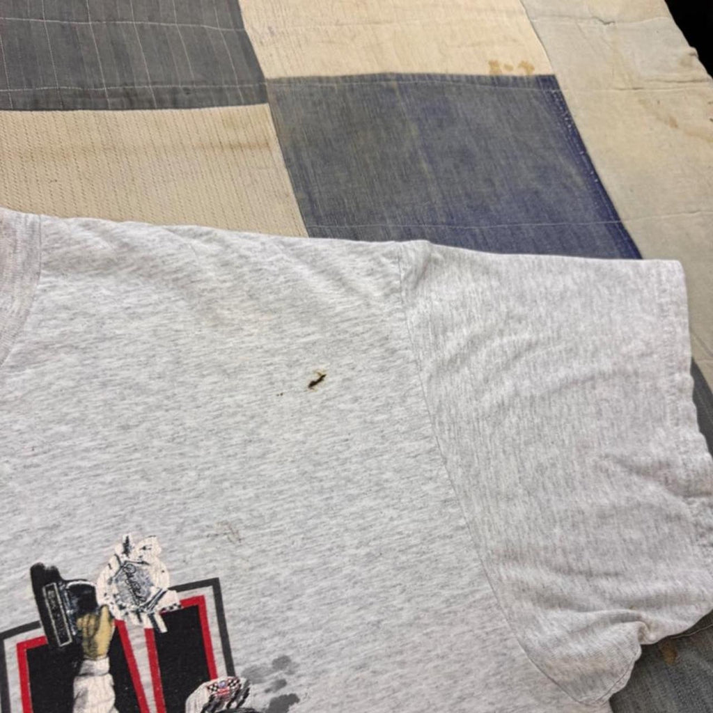1990s Dale Earnhardt The Man NASCAR Racing Tee | XL