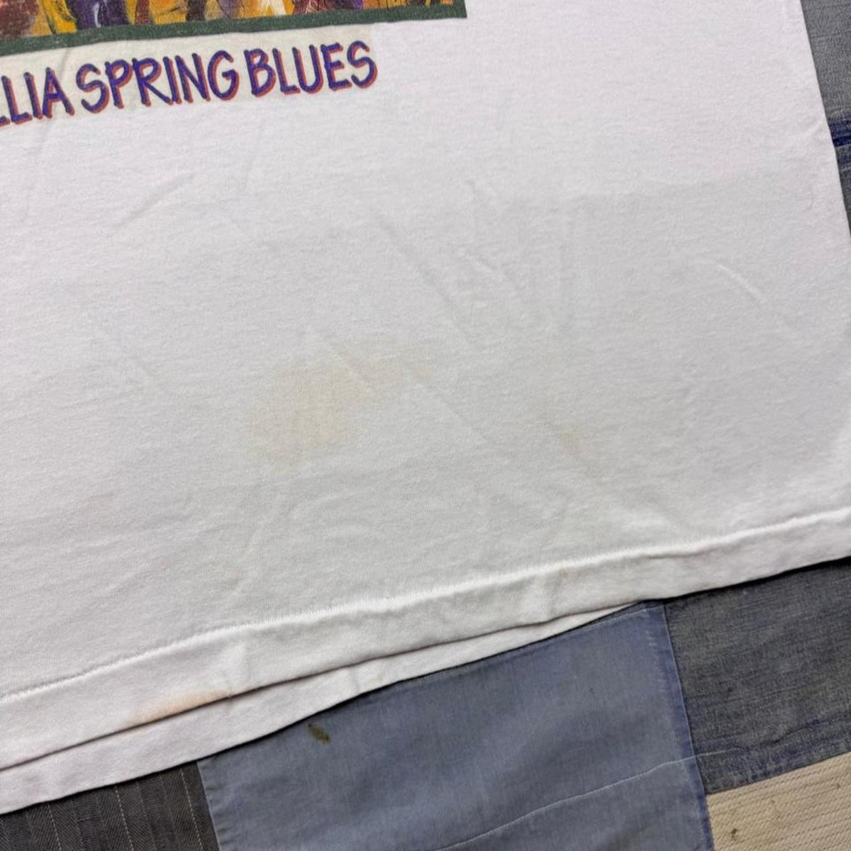 1990s Orillia Spring Blues Festival Art Graphic Tee Fruit of the Loom Best | XL