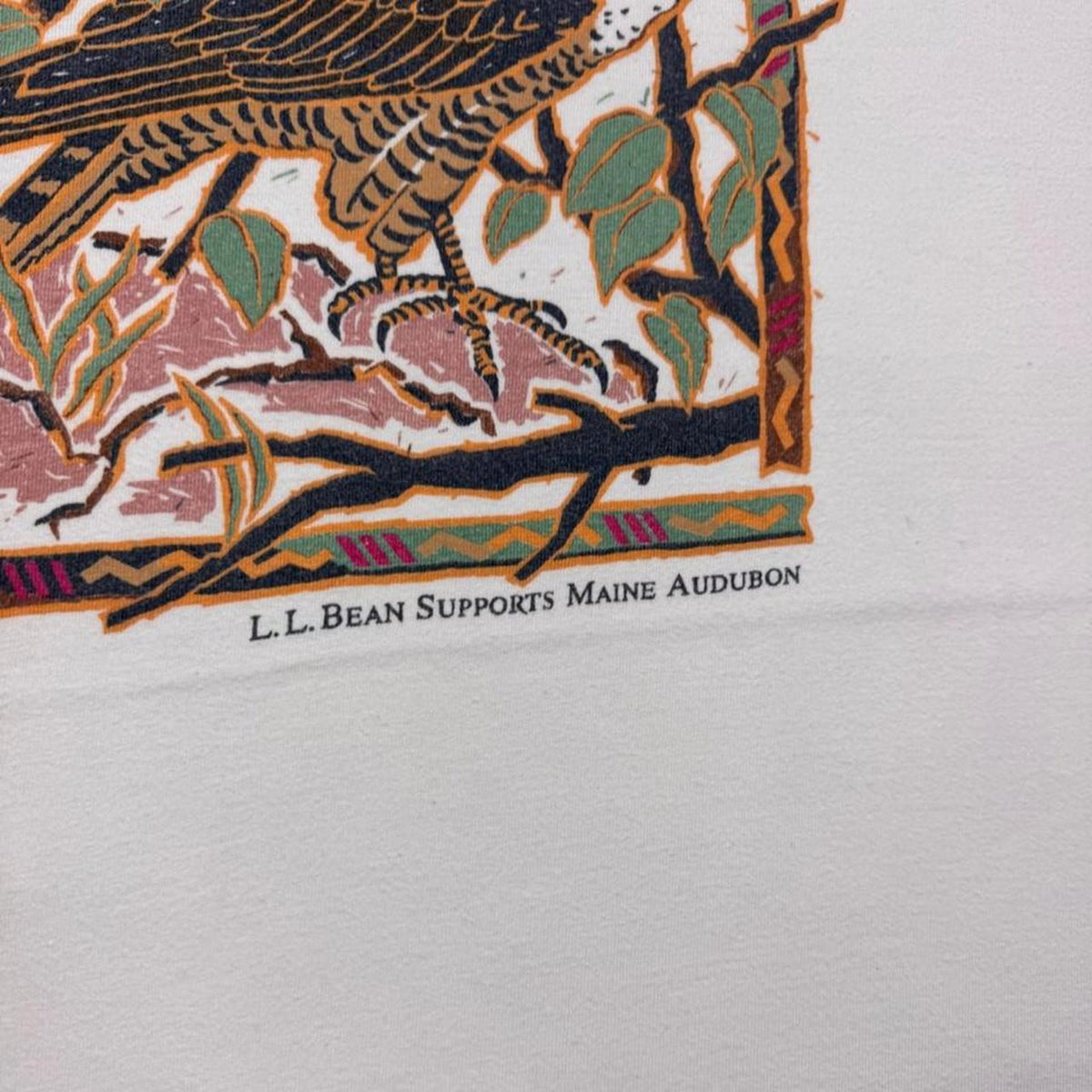 1990s L.L. Bean Peregrine Falcon Tee | L