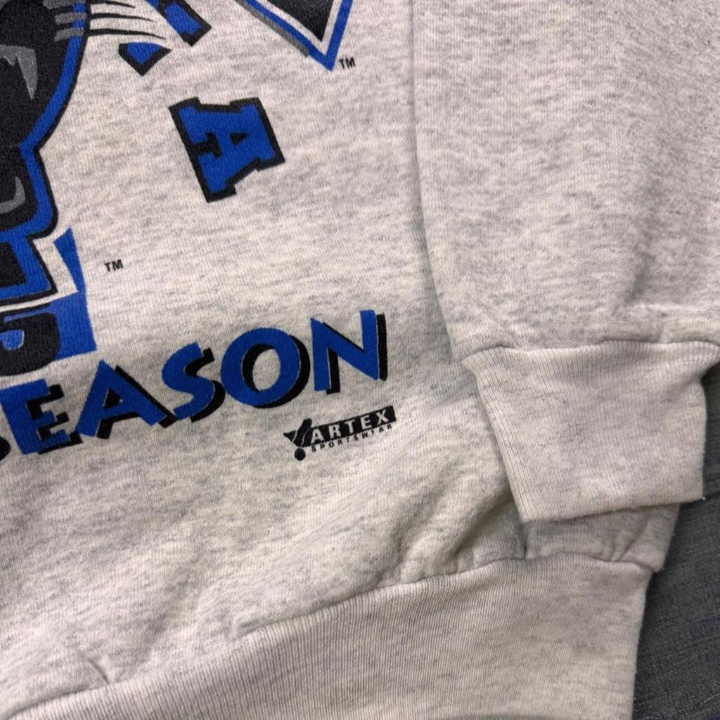 1995 Carolina Panthers Premier Season Artex Sweatshirt | Large