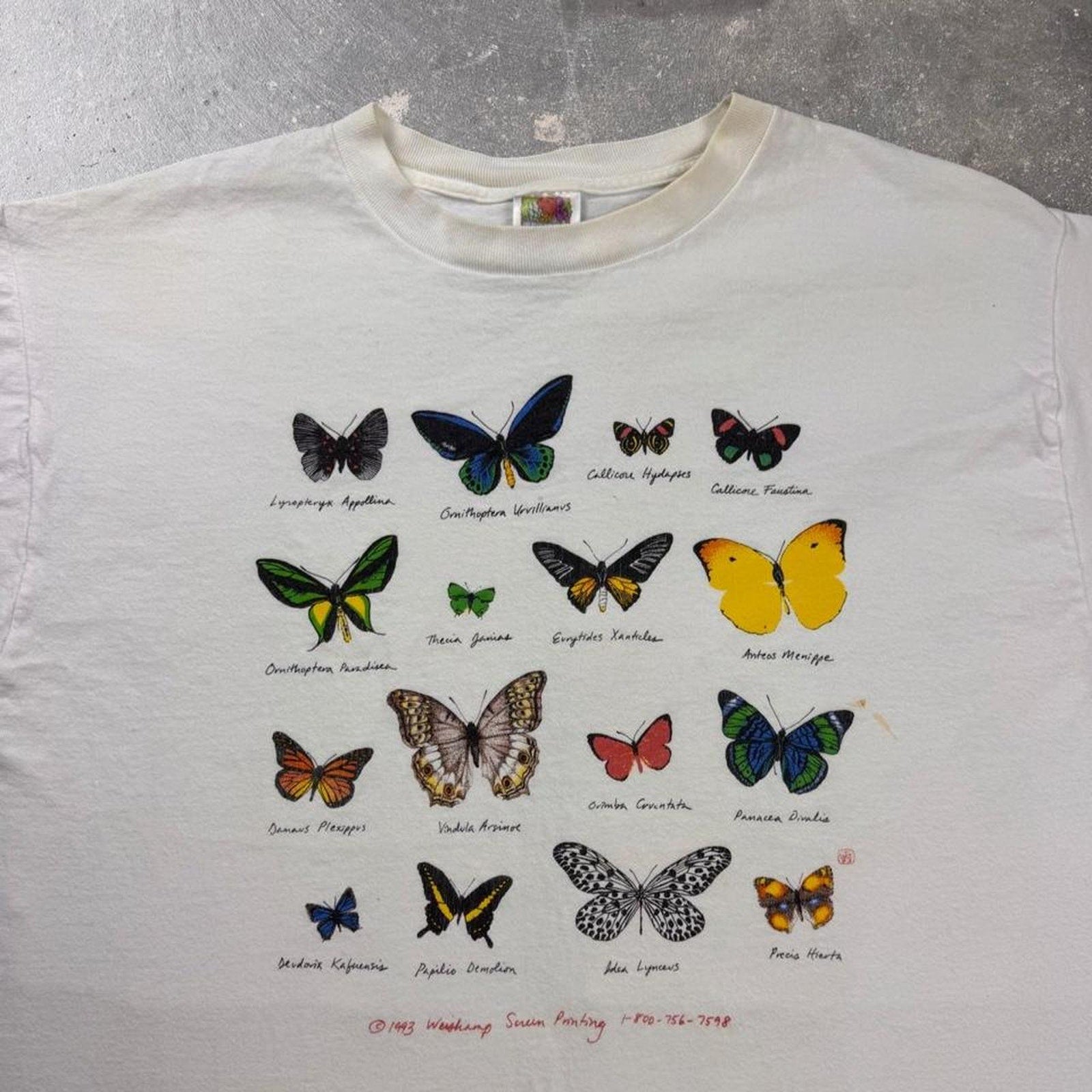1993 butterfly species graphic Tee | XL