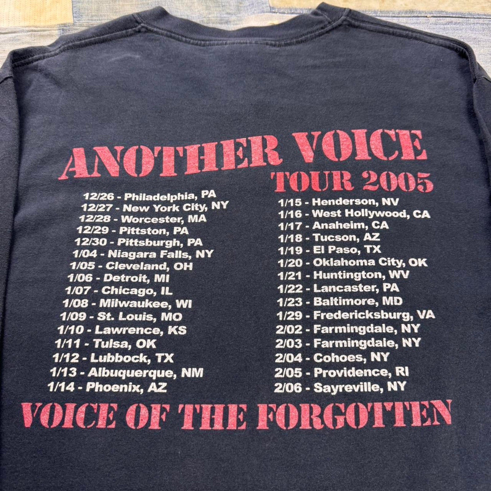 2005 Agnostic Front "Another Voice" Tour long sleeve band tee | Medium