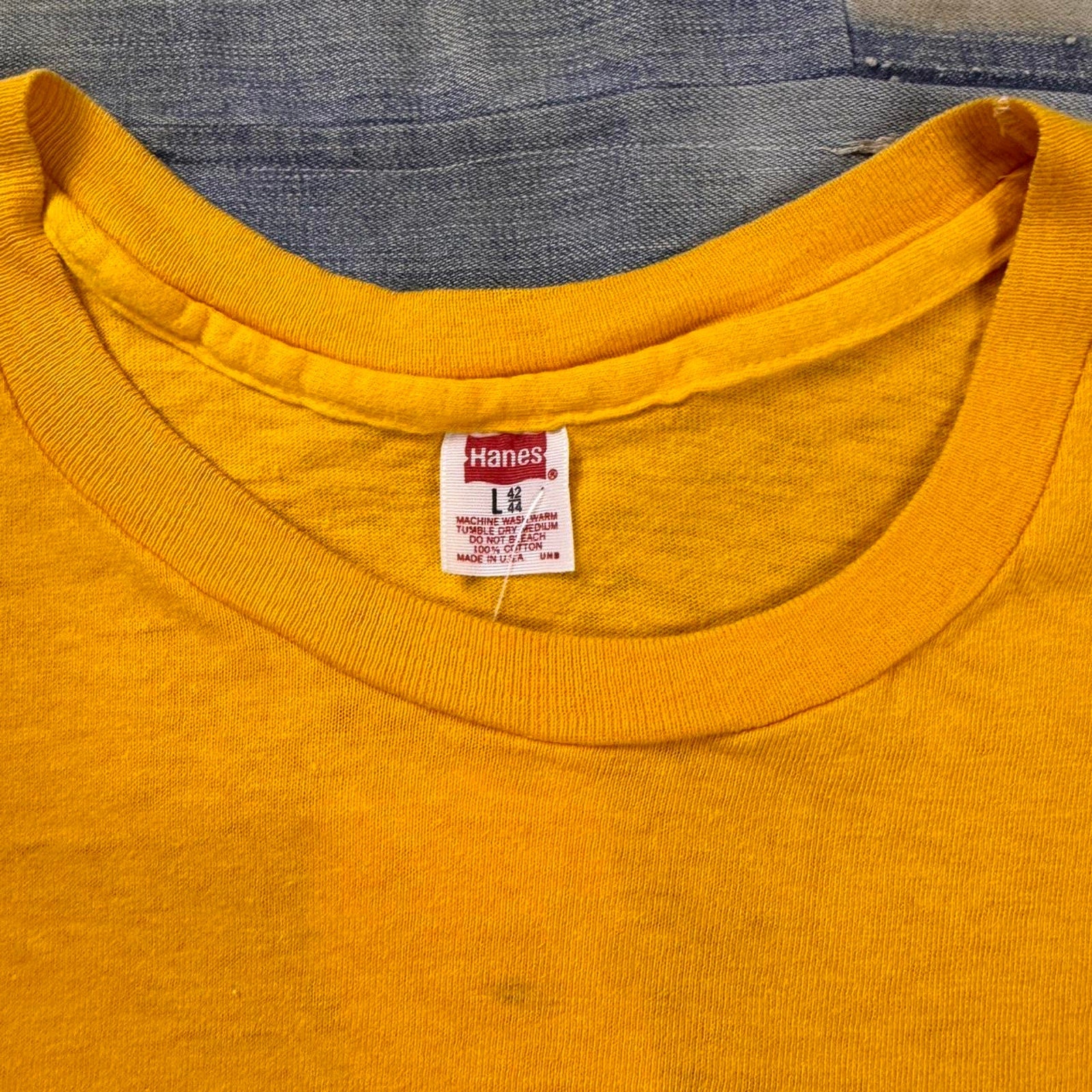 1980s Hanes The Lizard Man Lee County S.C. Cotton T-Shirt : Large