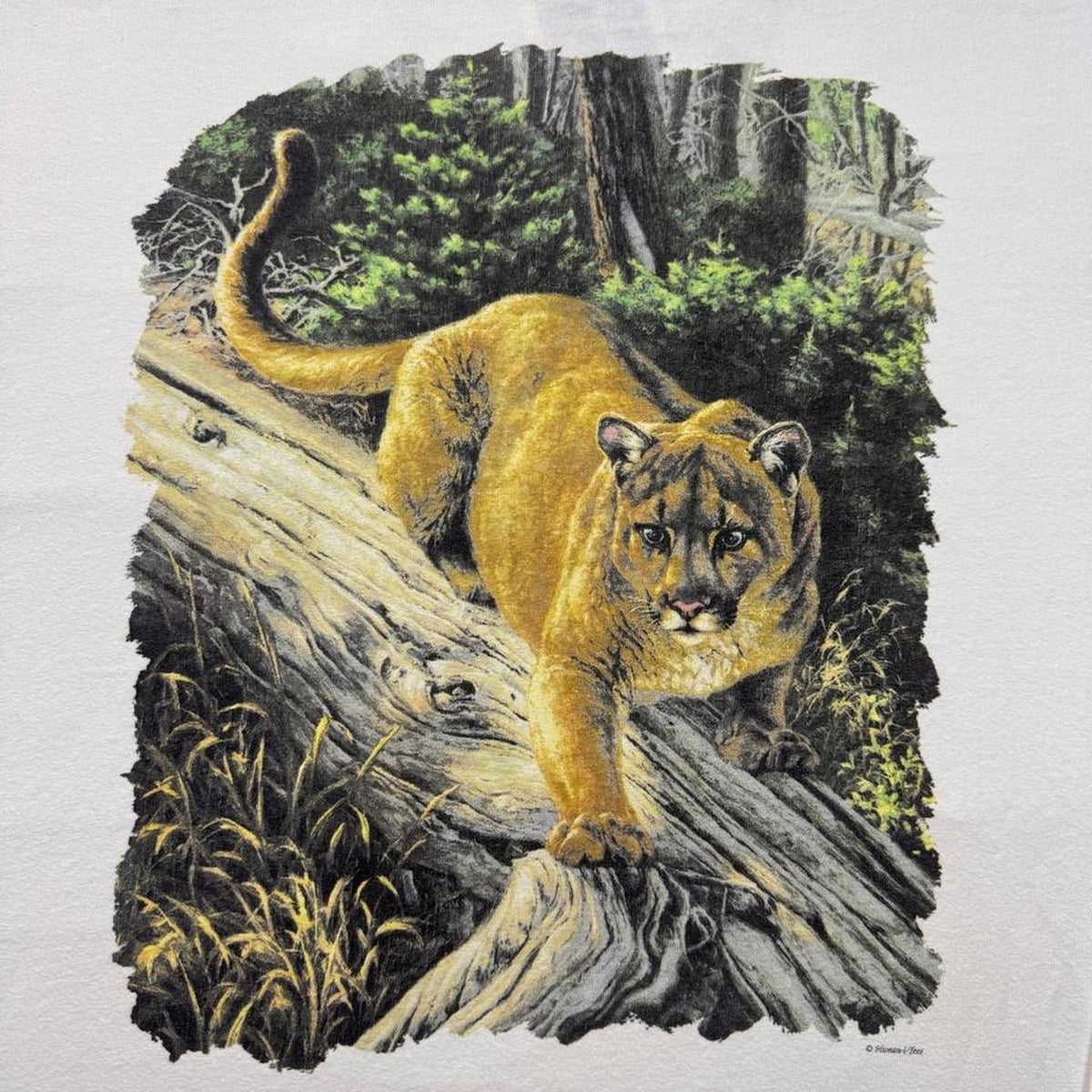 1990s Human-i-Tees Mountain Lion Long Sleeve Tee | XL