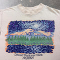 1990s Denali National Park Alaska Scenic Art Tee | Medium