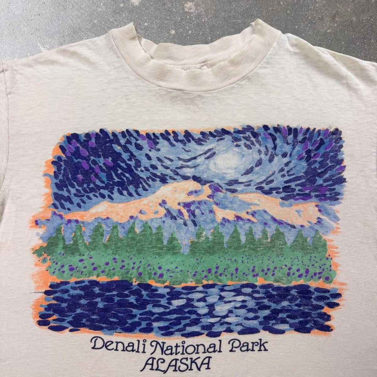 1990s Denali National Park Alaska Scenic Art Tee | Medium