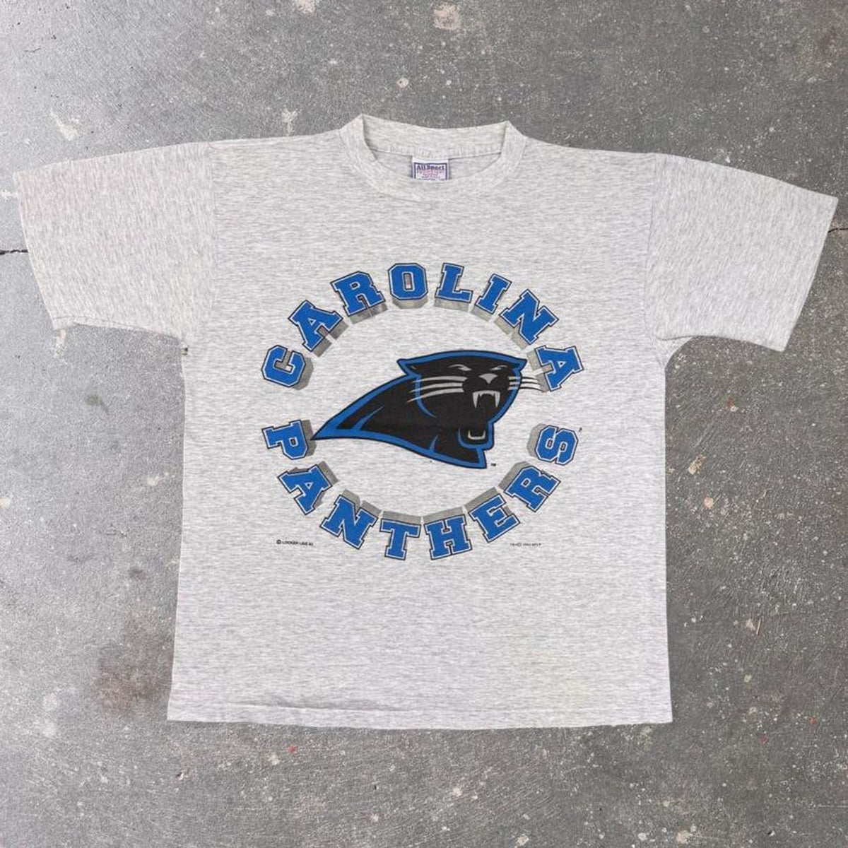 1993 Carolina Panthers NFL Logo Graphic Tee | Large