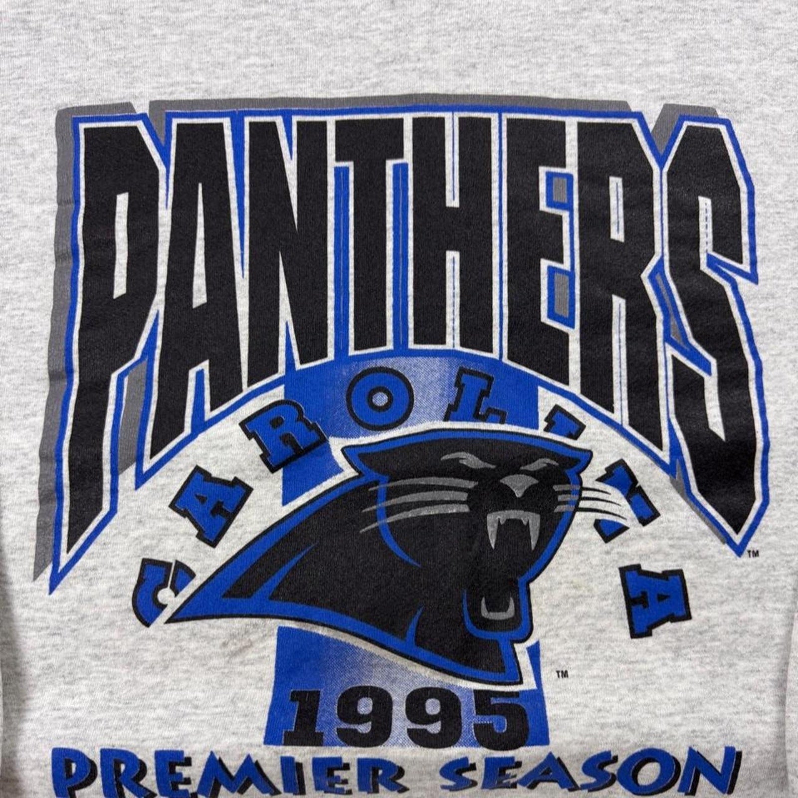 1995 Carolina Panthers Premier Season Artex Sweatshirt | Large