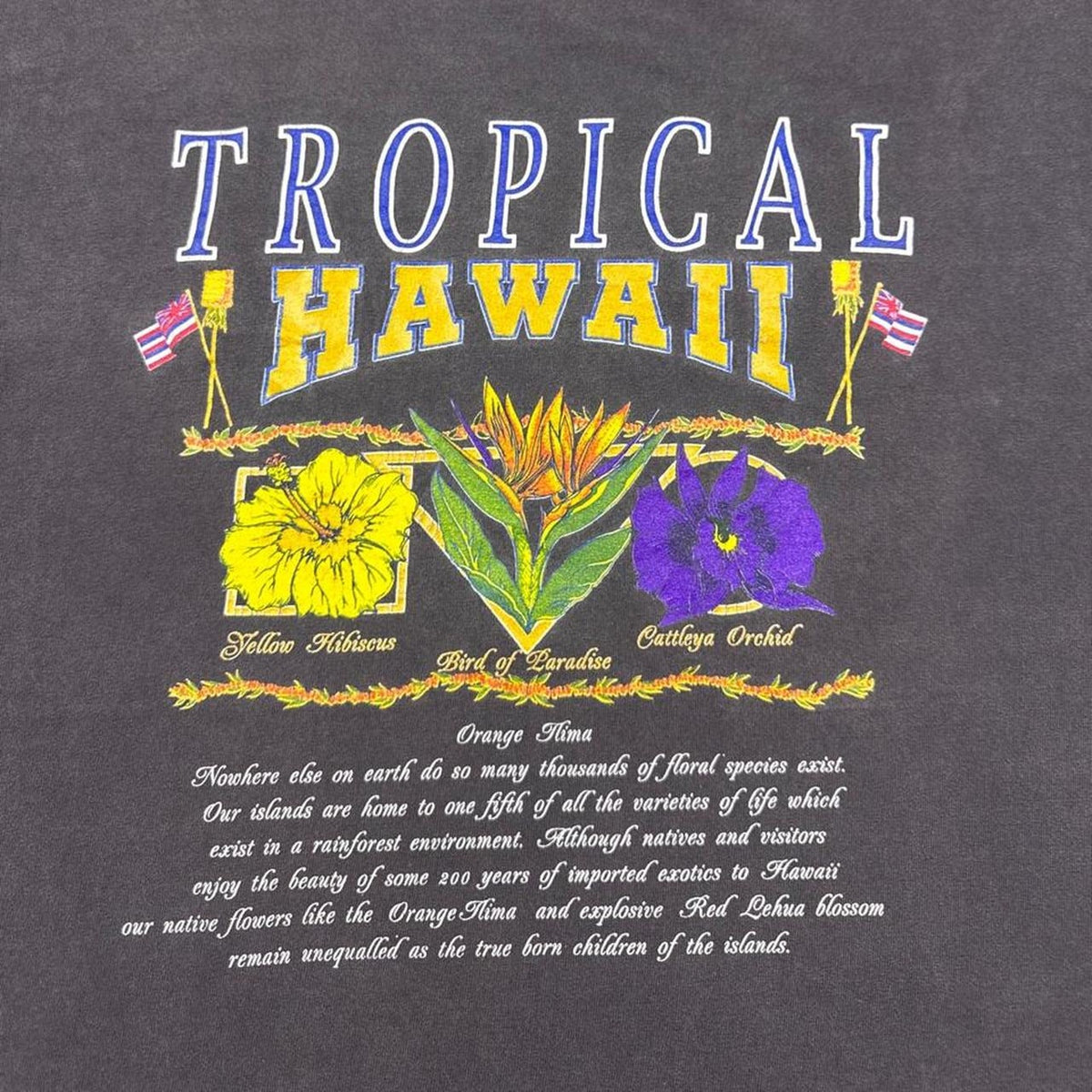 1990s Tropical Hawaii Floral Graphic Tee Black | Large