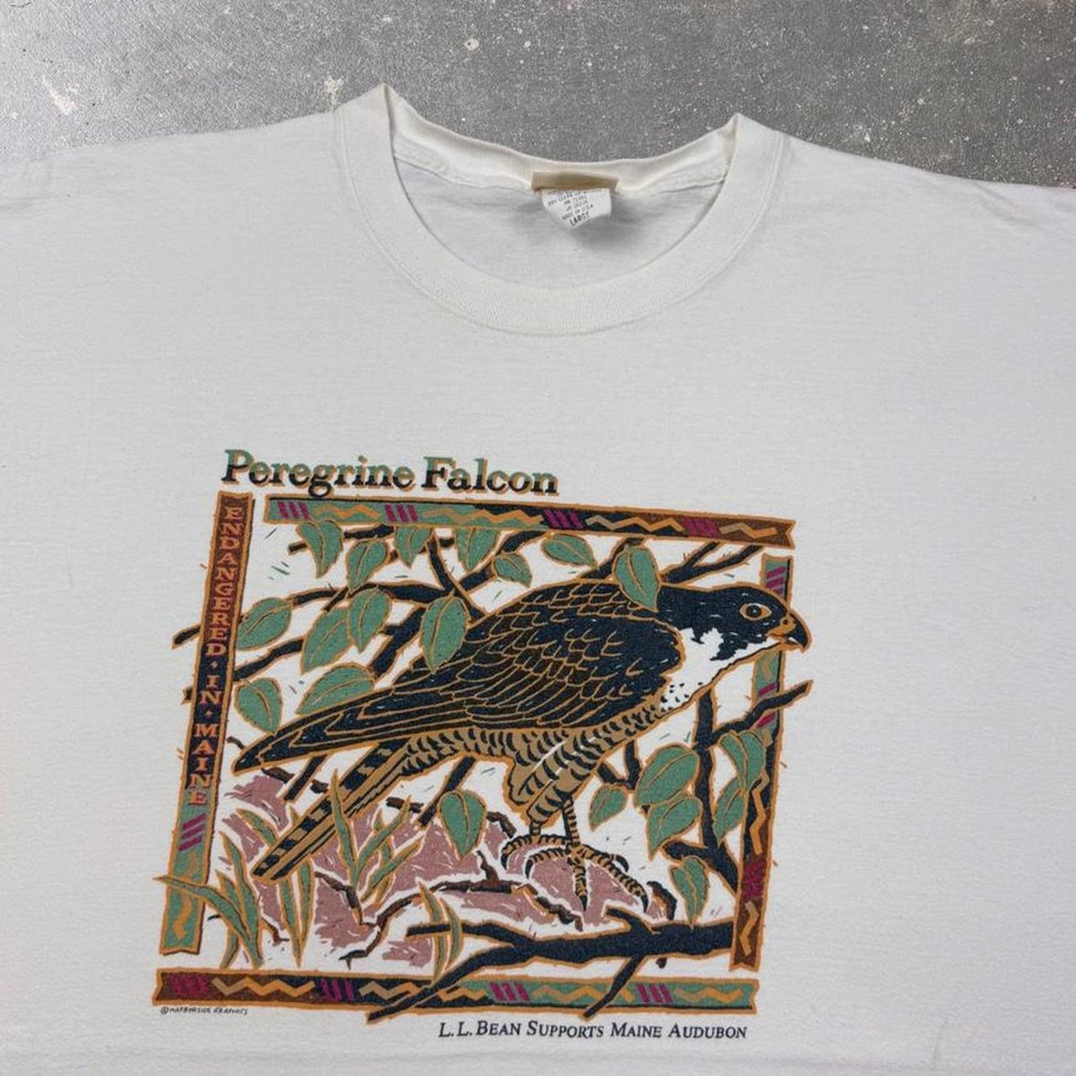 1990s L.L. Bean Peregrine Falcon Tee | L