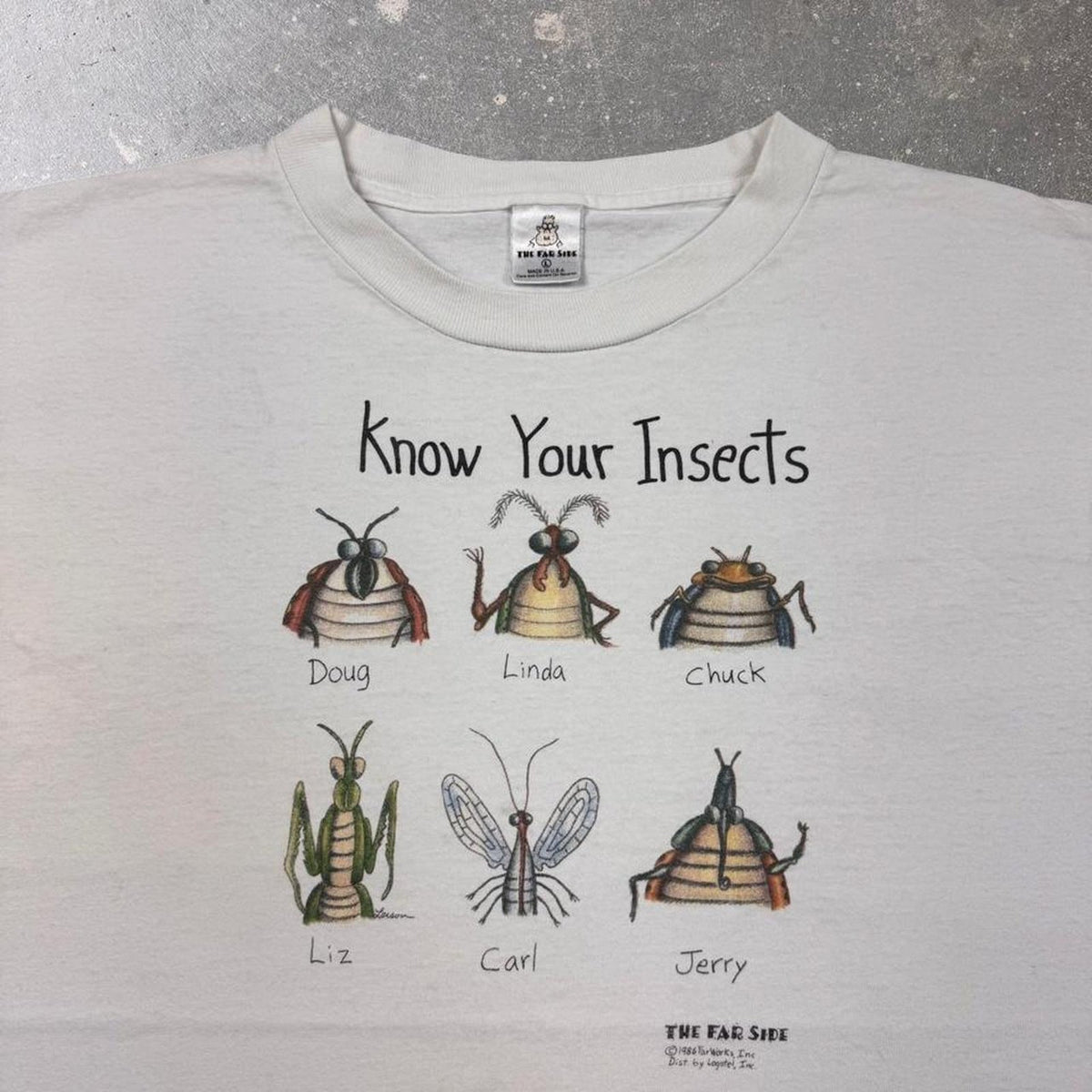 1990s Far Side Know Your Insects Tee | L