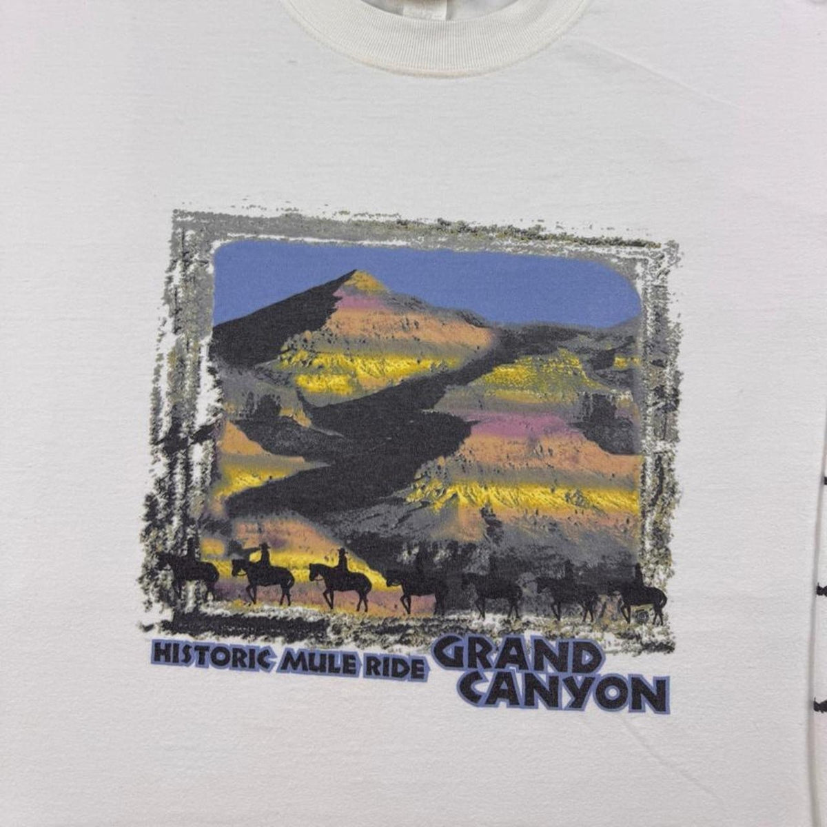 1990s Fred Harvey Historic Mule Ride Grand Canyon Long Sleeve Tee | XL