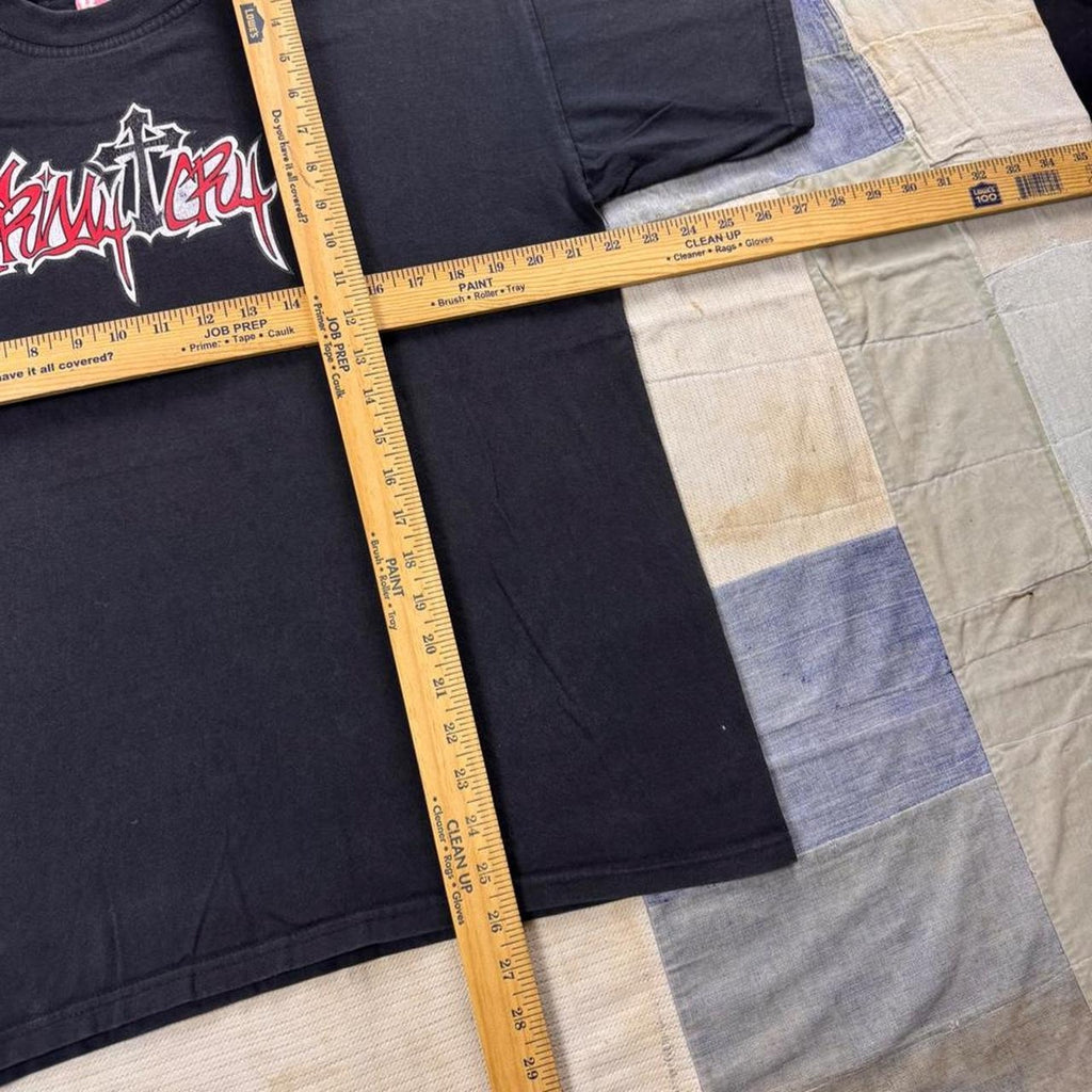 2000s Friday Cry He Died for You Christian Band Tee | XL