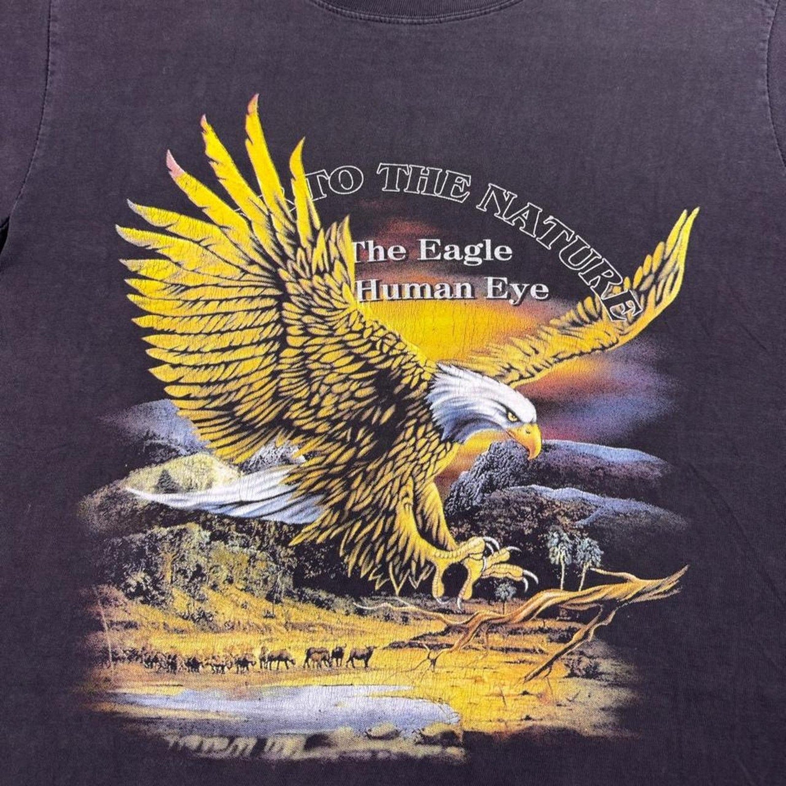 1990s The Eagle Human Eye Nature Graphic Tee | Large