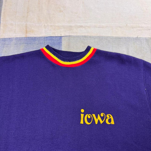 1960s Champion Iowa Short Sleeve Sweatshirt | Large