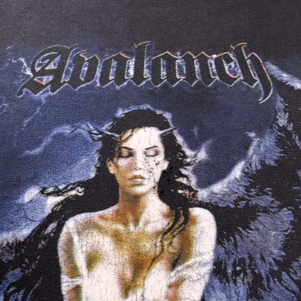 Vintage 2003 avalanche band tee size L