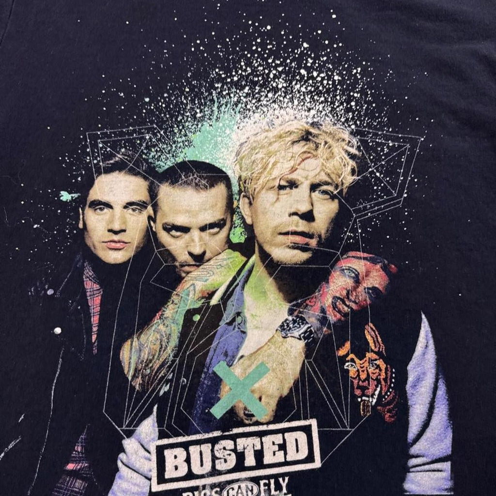 2016 Busted Pigs Can Fly UK Reunion Tour Tee | Medium