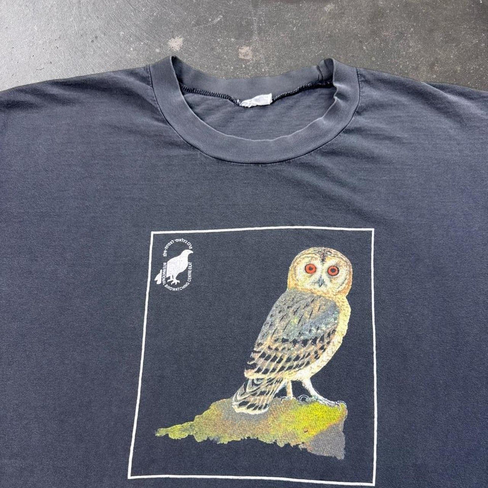 Vintage 90s International Birdwatching Center Owl Graphic Tee | XL