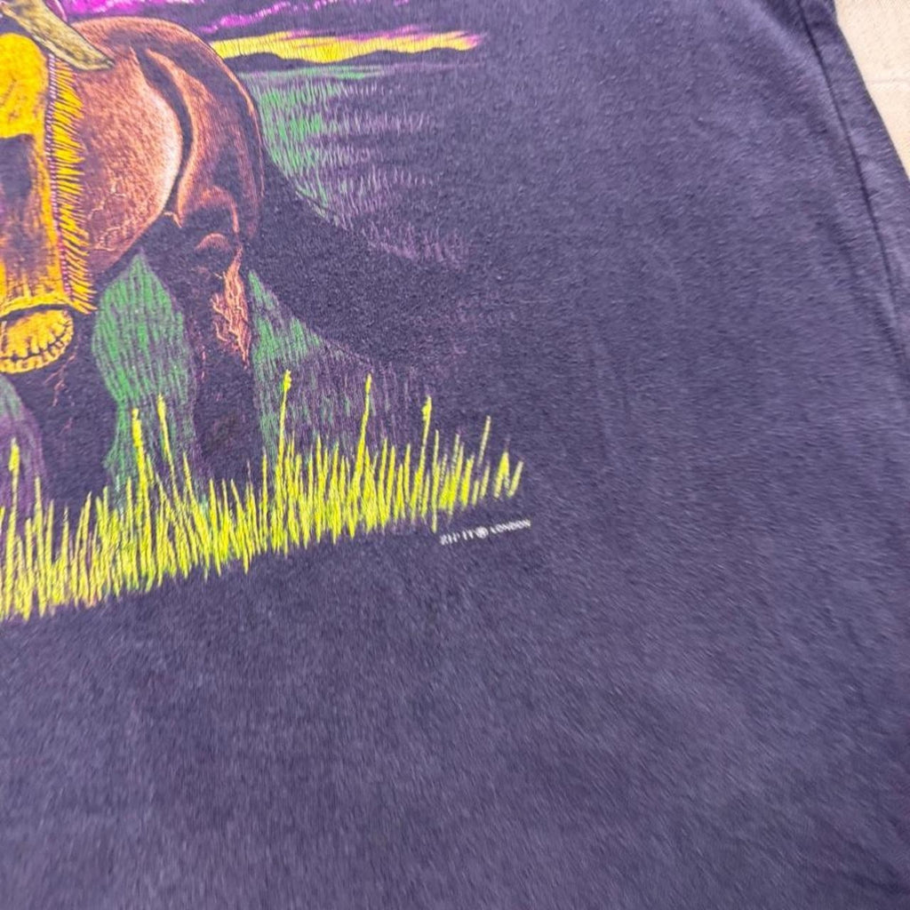 1990s Native American Spirit Warrior Horse Graphic Tee | Large