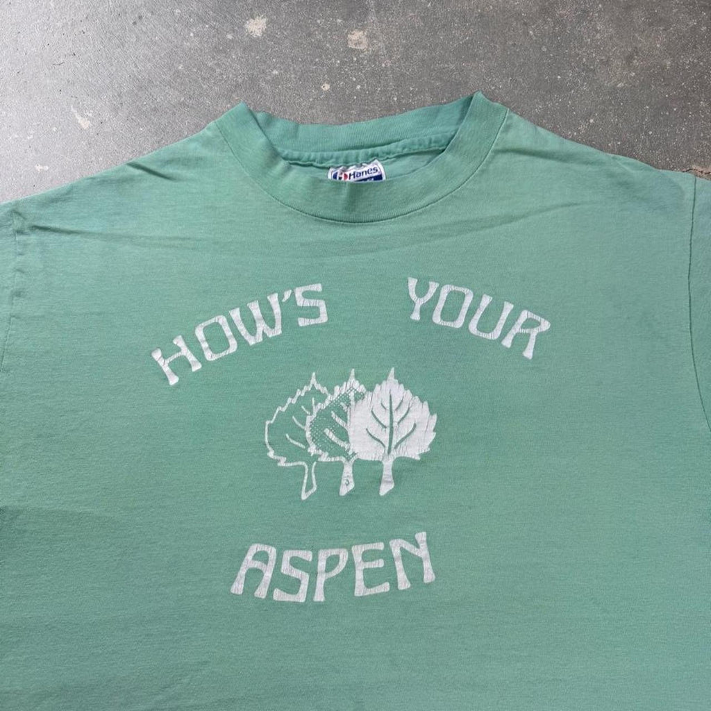 1990s “How’s Your Aspen” graphic tee | Large