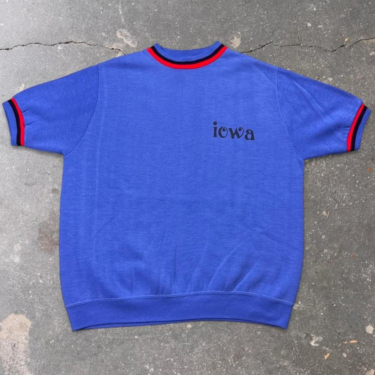 1960s Champion Iowa Short Sleeve Sweatshirt | Large