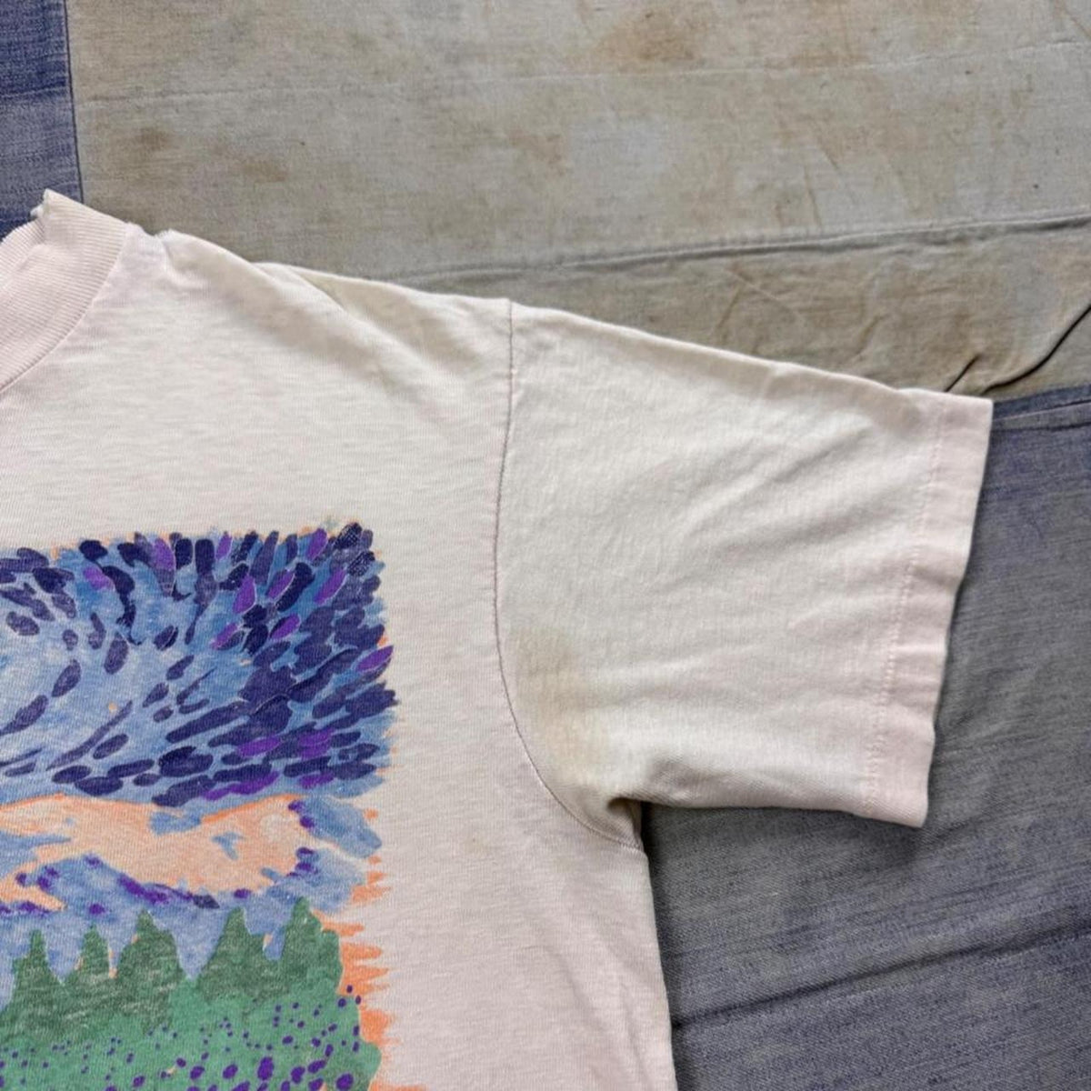 1990s Denali National Park Alaska Scenic Art Tee | Medium