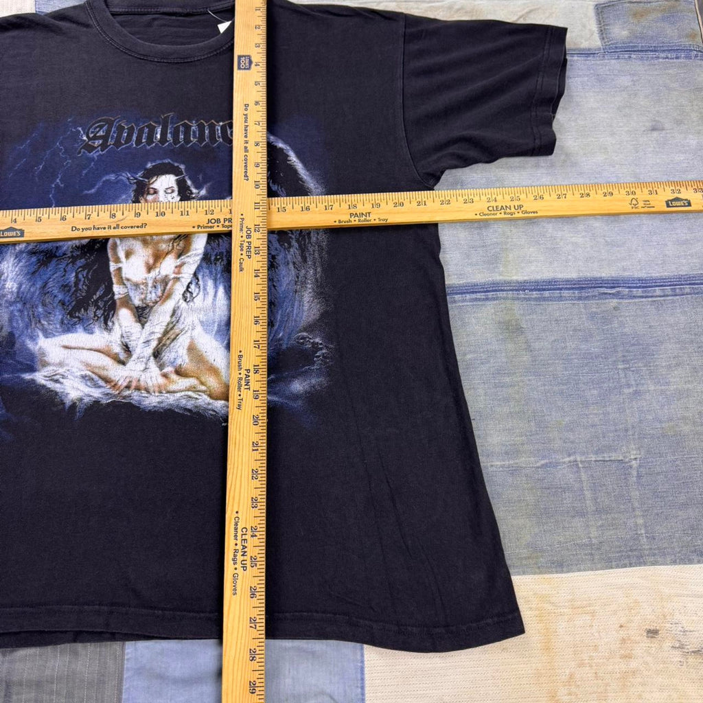 Vintage 2003 avalanche band tee size L