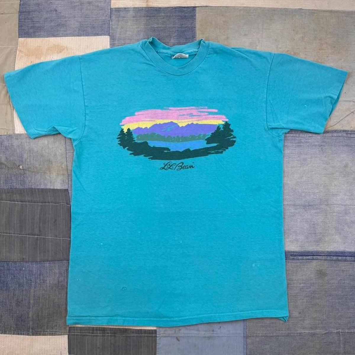1980s L.L.Bean Scenic Mountain Lake Graphic Tee Hanes Beefy-T USA | Large