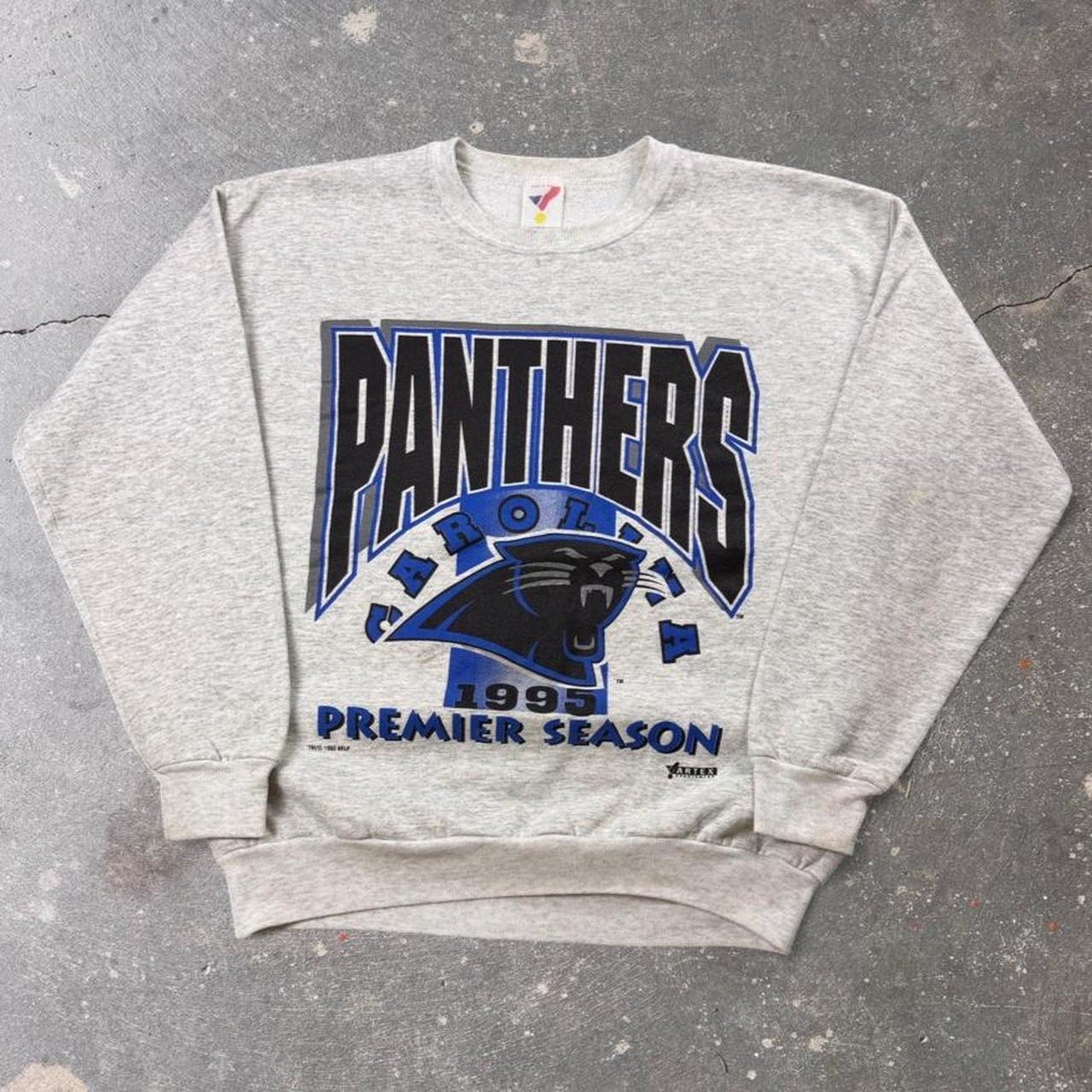 1995 Carolina Panthers Premier Season Artex Sweatshirt | Large