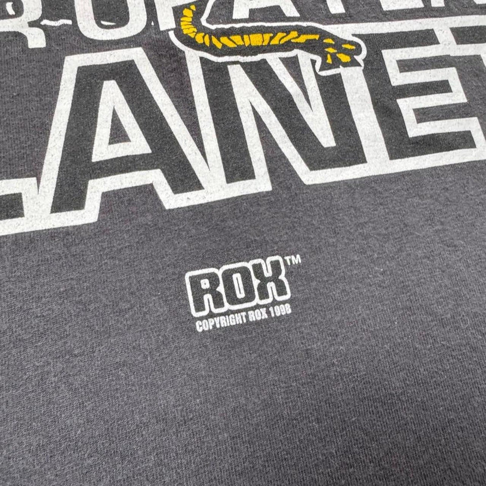 1998 ROX Fear of a Flat Planet Devil Graphic Tee | Medium