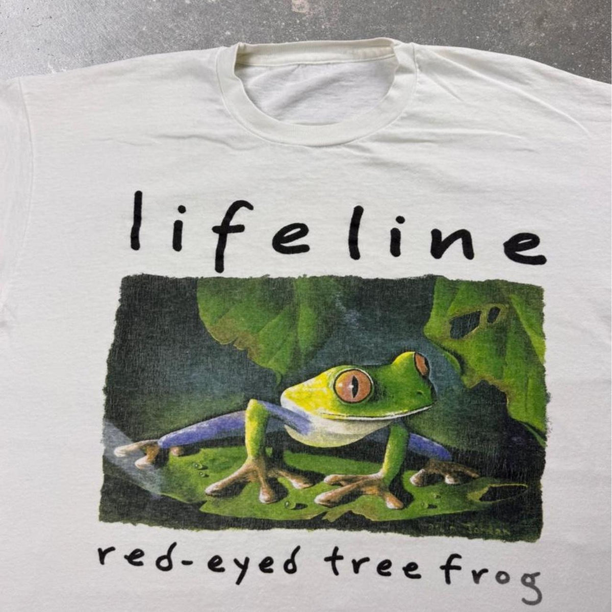 1990s Lifeline Red-Eyed Tree Frog Graphic Tee | XL