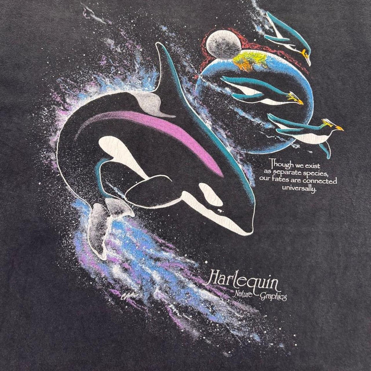 1990s Harlequin Nature Graphics Orca Dolphin Space Graphic Tee | Large